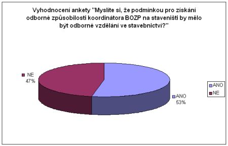 anketa říjen 2011